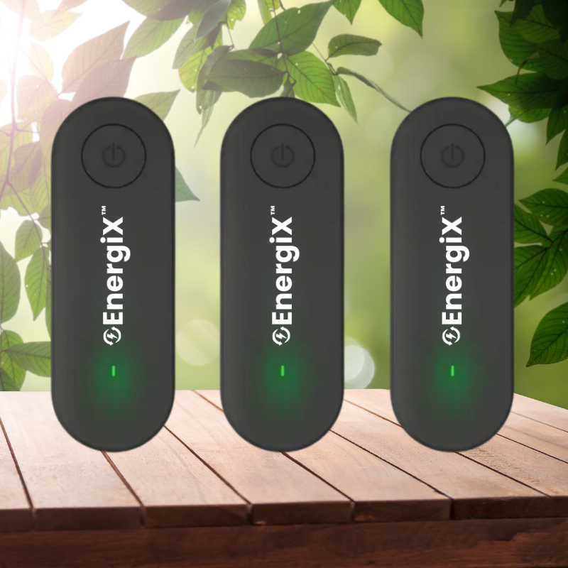 EnergiX
