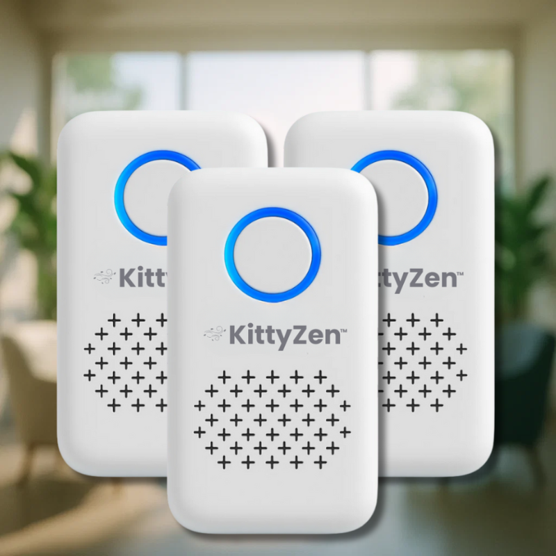 KittyZen